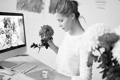 Desarrollo Web en Madrid